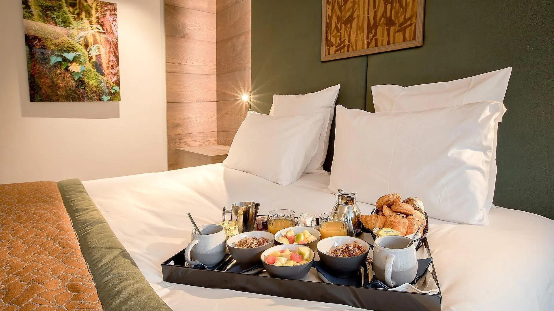 Rivage Hotel & Spa 阿讷西